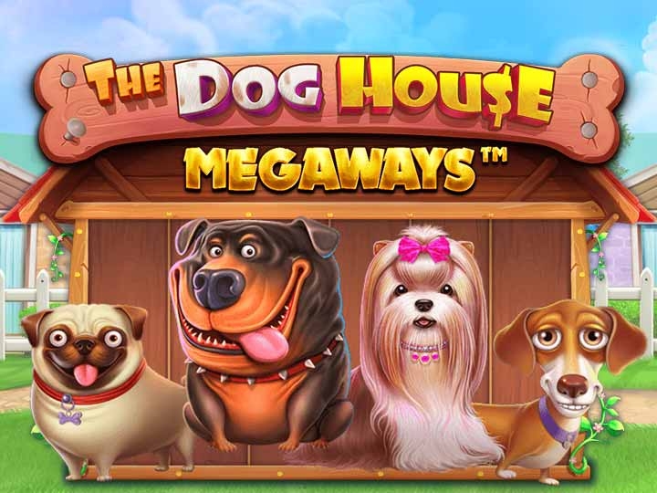 estratégias vencedoras, apostas, jogo de slot, The Dog House, cassino online.